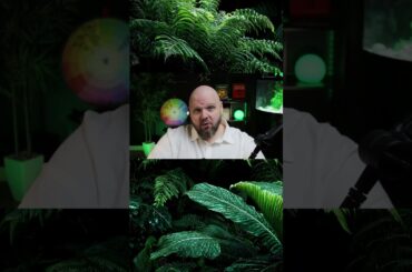 Projectors Will Soon Be Common Place in Dining  #nextgenrestaurants