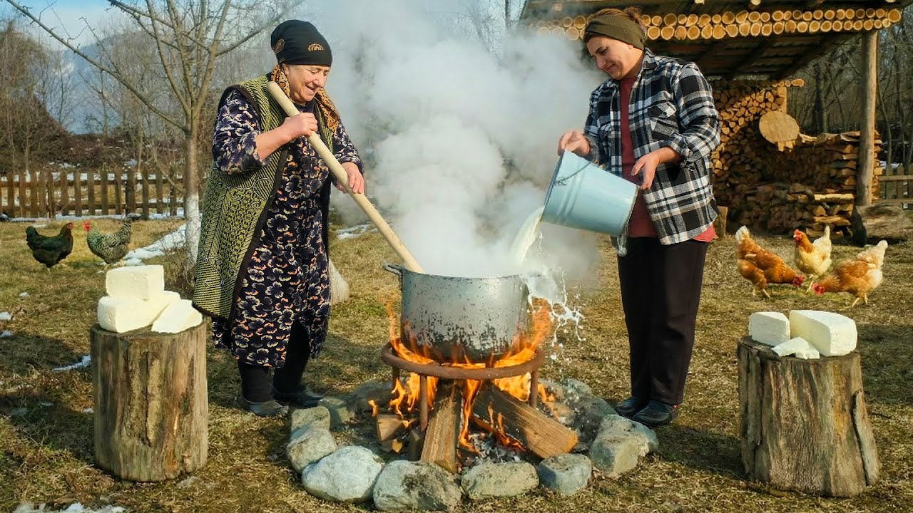 Boiling 50 Liters Milk & Making Cheese on Wood Fire Boiling 50 Liters Milk & Making Cheese on Wood Fire