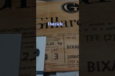 kitchen vibe #viral #resturent #vegetables #shots #reel #yiutubeshort #ytshorts #youtube