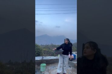 What did you bring from the fields today?🌾🥬 #shorts #cooking #minivlog #harisabji #harvest #villa...