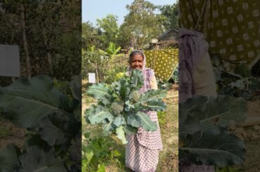 Just Fry Broccoli Like This – So Tasty! #shorts #cooking #recipe
