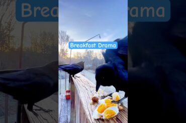 Clip: Fine Dining Drama