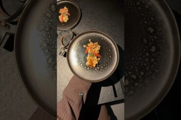 Berlin’s Hidden Japanese Vegan Fine Dining Restaurant 🌱