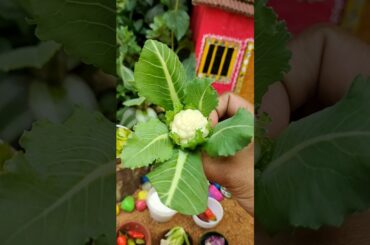 miniature mini gobi recipe cooking mini cooking #shorts #mini #gobi #tiny #food #cooking #viral