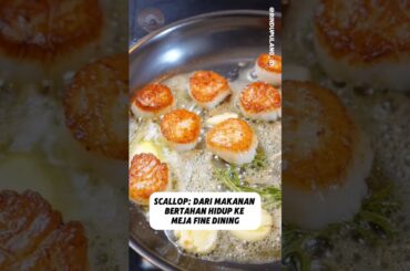 Scallop: Dari Makanan Bertahan Hidup ke Meja Fine Dining #Scallop #FoodHistory #SejarahKuliner #food