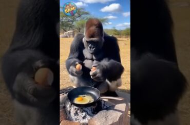 Gorilla Dad's Scariest Cooking Session! 😂🔥
