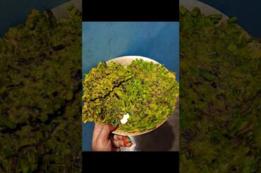 piaja sanda pitha 👌👌#pujaodiakhana #shorts #food #onion #viral #cooking #desifood #odia