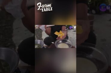 PINCH TO SECURE your squash blossoms! #shorts | Farm To Table