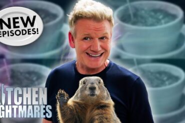 it’s groundhog day and gordon is trapped in a time loop 🫨 | BRAND NEW Kitchen Nightmares COMPILATION