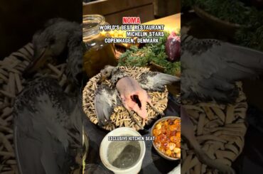 EATING REINDEER HEART AT THE WORLD'S BEST RESTAURANT Noma in  Copenhagen