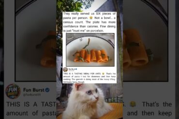 Tiny Pasta Portion  Fine Dining’s Funniest Serving