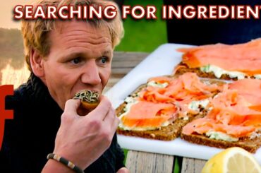 Gordon Searches For The Most Delicious Ingredients For The Restaurant | The F Word | Gordon Ramsay