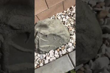 This the life 🫡 #catering #fun #setup #table #hibachichef #chef #food #hibachi #foodie #party #fypシ