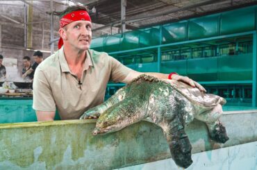 Inside Vietnam’s Exclusive Exotic Animal Restaurants!!