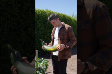 The Best New Restaurant in the US