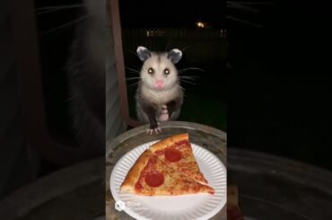 she tried to sell pizza like it was fine dining