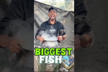 Biggest fish 🐬#shorts #shortvideo #viralvideo #fish #cooking #minivlog