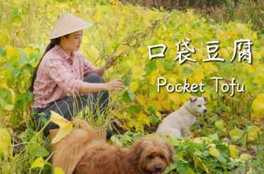 Pocket tofu: springy outside, silky inside—Baoshan’s “bursting tofu pearls.”【滇西小哥】