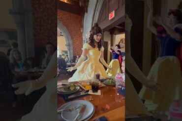 Is Disney character dining worth it?? #shorts