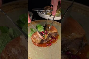 Willo Isn’t for Everyone… Here’s Why