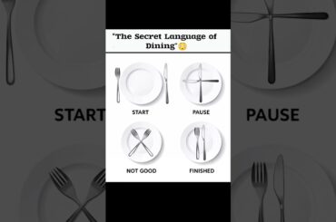 "The Secret Language of Dining"😳