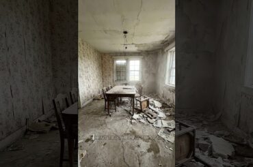 This Floor Changed the Entire Dining Room 🤯 #renovation #interiordesign