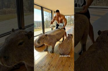 INSANE TABLE😱 Capybara Dining Room Set