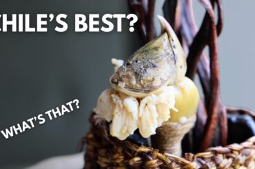 The World’s 50 Best Restaurant You’ve Never Heard Of | Boragó (Fine Dining in Chile)