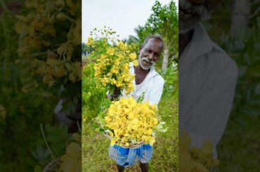 Avaram poo Recipe |Village Medicine #cooking #how #food #nature