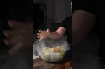 Why Professional Fermenters Always Use This First #fermentation #cooking #hack