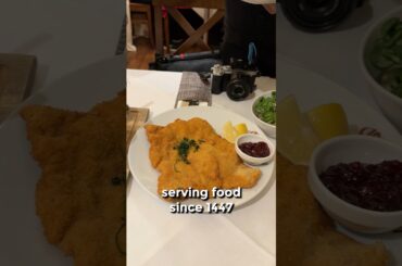 Dining at Griechenbeisl — Where Mozart & Beethoven Once Ate 🇦🇹