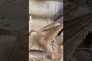 Whole Lamb Roasted In The Ground #Foodie #Cooking #StreetFood