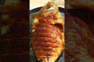 Spice Fish Fry || Telapia Fish Fry #cooking #shorts #food #asmr