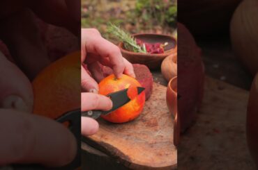 Filet Mignon on a Stone | Bushcraft Forest Cooking#outdoorcooking  #asmr #cooking #food #chef