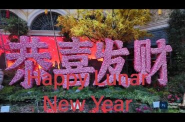 Steve Fine Dining At Ellie's Chinese Restaurant Las Vegas