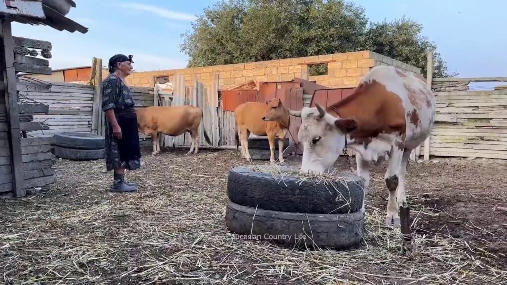 Cooking for the Whole Family Outdoors – Rural Traditions – Farm to Table