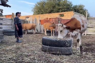 Cooking for the Whole Family Outdoors - Rural Traditions - Farm to Table