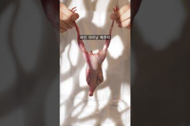 파인 다이닝 메추리 플레이팅 #shorts