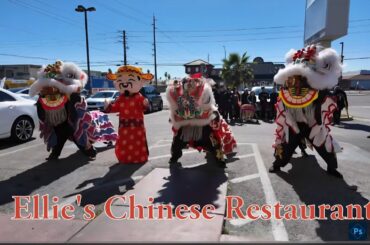 Steve Fine Dining Lion Dance Performance And Dim Sum At Ellie's Chinese Restaurant