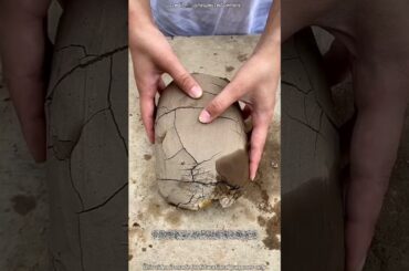 Mud Wrapped Chicken Cooking 🍗 #shortvideo