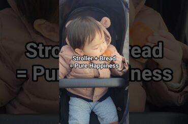 Sitting comfortably in the stroller.Enjoying bread like it’s fine dining. 😋