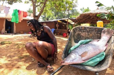 Turning Monster Fish into American Fresh Crunchy KFC like Fish |Village life Africa