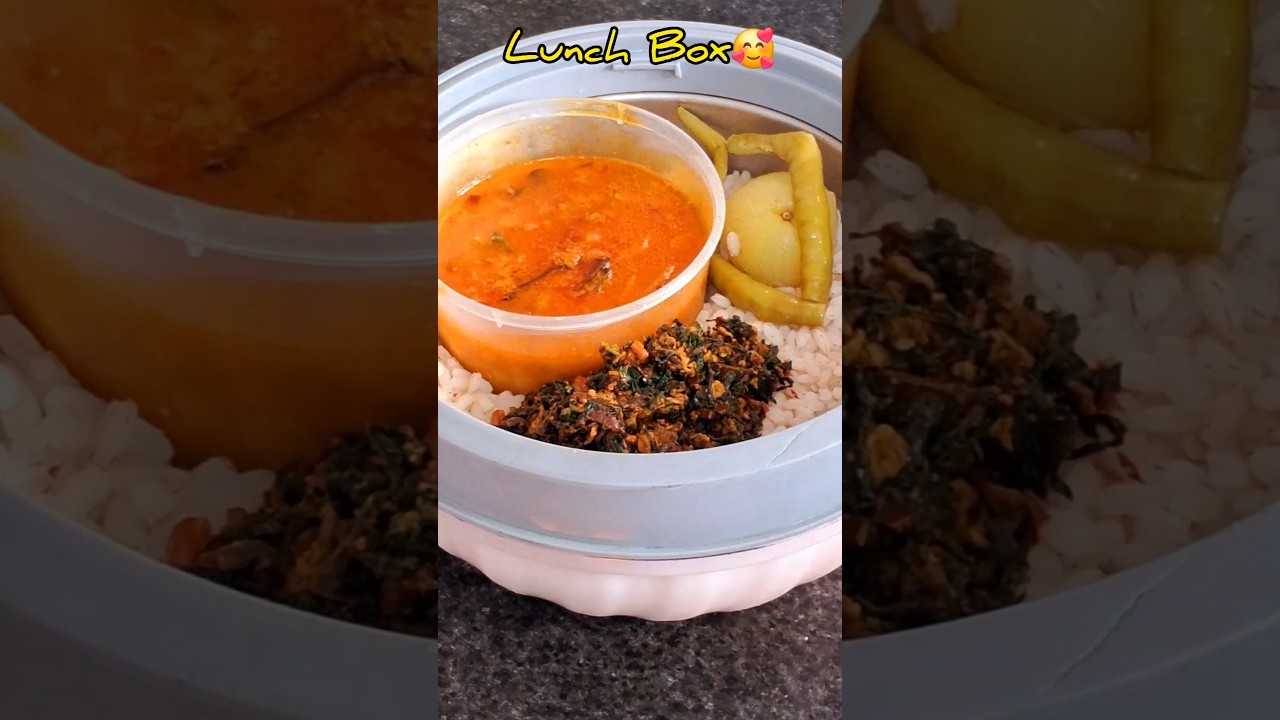 LUNCH BOX👌 TODAY SPECIAL LUNCH BOX👌HEALTHY FOOD // #shorts #cooking #food #ytshort #cookingchannel LUNCH BOX👌 TODAY SPECIAL LUNCH BOX👌HEALTHY FOOD // #shorts #cooking #food #ytshort #cookingchannel