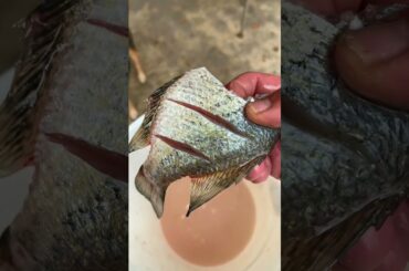 Cooking a bunch of fish #outdoors #fishing #cooking