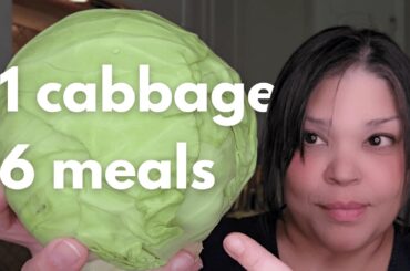 1 Cabbage, 6 Meals | COOKING FOR ONE