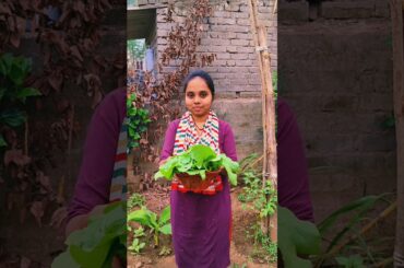 Palanga Saga Dalma 😋 #shorts #youtubeshorts #viralshorts #trending #minivlog #cooking #dalmarecipe