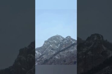 Netflix 'Chef's Table' : Into Nature #nature #korea #mountains #meditation #mindfulness #shorts #쇼츠