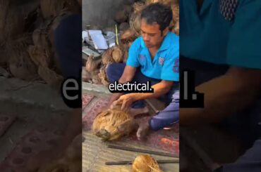 My wife told me she married down and I proved her right by leaving her with nothing...