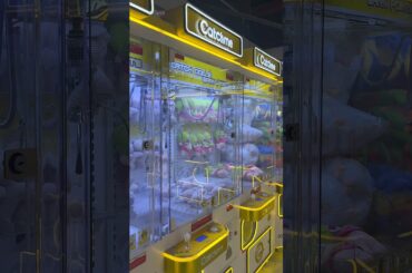 Catch me play zone | Uttara chef’s table | Airport Chefstable | Tabassum Tanisha | #shorts #foodie