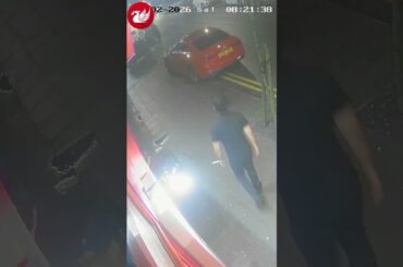 Restaurant accuses woman of 'dining and dashing'